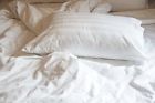 00b6cbcac1c84e60879a900565504e6d Alwyn Home Philippa Damask Pillow Case