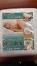013838996087 The Bed Bug Solution Mattress Cover Encasement Best