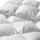 0ac5711efa464e338a67fbb575cbbbc2 Alwyn Home Hermione Premium Hungarian Down Comforter