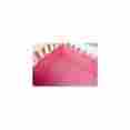 10-18hp010 One Grace Place Simplicity Hot Pink Crib Sheet Brand New 0848284022505