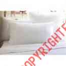 1033champ-ks Linens 35 Hampton 23cream Sham Taylor King