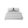 212232 Camden Isle Carlton Platform Bed Queen White 647732864700