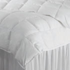 234267b973e449b2b41ef6ed815b3b14 Alwyn Home Hungarian Lightweight Down Comforter