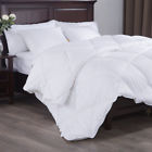 2387165a43a443d9b3650c219e92f74e Alwyn Home All Season Down Alternative Duvet Insert