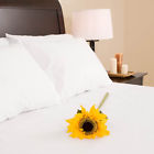 3b917442f906442da891cc882ffbde8b Canora Grey Vancouver Pillow Case Set Of