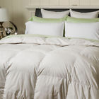 4394 Warm Things All Season Down Comforter