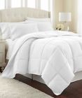 464f395bcb534b899b3900d8a2425da8 Alwyn Home Lightweight Down Alternative Comforter