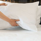 5da1cfff816d44eab5de929c27c190bb Charlton Home Rhiannon Premium Bamboo Fiber Pillow Case 190967711856
