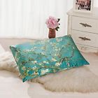 605725944037 A Silk Pillowcase 19 Momme
