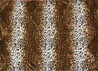 799975467573 Pampered Pets Crate Mats For X-large Cheetah