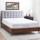 848971025499 Lucid Plush Down Alternative