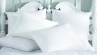 45109 888583010599 Pillow Protector Allergy Free