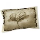 888635310240 Us Home Thumbprintz Floral Impression