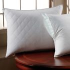 42973868 Anew2877 Alwyn Home Pillow Protector