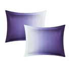 B077feba0f7b43efa594d0a52a871032 Wrought Studio Ritzman Ombre Sham 192452692008