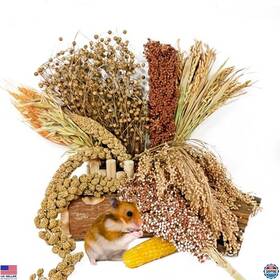 Ac172-1 Brand Acsist Natural Flower And Herb Habitat Decor For Hamsters Mice Guinea Pigs Small Pets