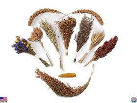 Jf23x27 Brand Jfwod Natural Hamster Bedding Mix - Flowers Herbs Grains For Dwarf And Syrian Hamsters