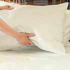 Ca3d3e22564444358ef2e0238b393e6b Charlton Home Rhiannon Premium Bamboo Fiber Pillow Case 190217038436