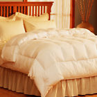 Comforter Feather Pacific 025521489813 Light Coast Warmth