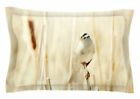 Eunh7905 33430810 East Urban Home Bird In Ethereal Light By 190960115644