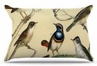 33431251 Eunh8115 East Urban Home Vintage Birds By Suzanne Carter 190960112926