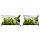 33431558 Eunh8265 East Urban Home Trpical Charm By Sylvia Cook 190960112575