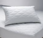 F923dc0987d242d797c9ba952ccc878a Alwyn Home Jace Sleep Safe Pillow Protector 190599542279