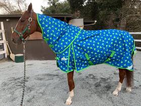 Rsf103 Mackey Flying Frogs Blue Frog Rain Sheet With Detachable Hood