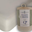 Mp-ssq-org Gotcha Covered Pure Sofa Sleeper Mattress Protector Size Queen