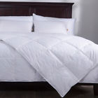 Pd-16023-f-q Puredown Lightweight Down Comforter