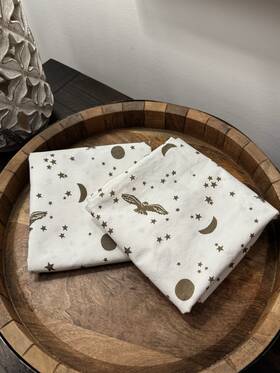 9011483 Pottery Barn 2 Harry Potter Enchanted Night Sky Pillow Cases Teen 2017 Flaw Read