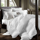 T0233-f Maison Condelle Lightweight Down Comforter
