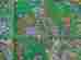 Twt8400 Trade Star Exports Green Color