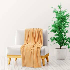 136273 Vidaxl Blanket Desert Mist 100% Polyester 59.1 X 78.7 In Lightweight