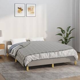 3154777 Vidaxl Weighted Blanket Gray