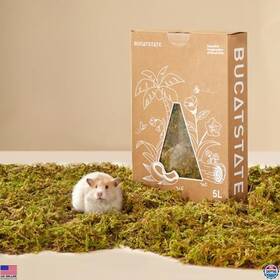 Cbsh0301225 Visit The Bucatstate Store 5l Natural Forest Moss Bedding For Hamsters - Odor Control Substrate