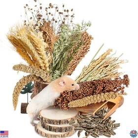 B0c3bxqk3q Visit The Nicerinc Pet Store Natural Grain Ear Flower And Herb Bedding Mate For Hamsters Gerbils Lemmings