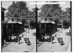 Hangman's Tree,damascus,esh-sham,syria,middle East,american COLONY,1900-1920. Fixed Price $12.99.