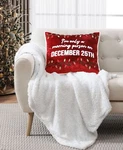Lacourte Morning Person Decorative Pillow, 20 X Red. Fixed Price $27.90.