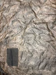 Us Military Army Acu Digital Wet Weather Poncho Liner Woobie Blanket. Fixed Price $18.00.