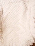 #60 Taylor Linens White Chenille Standard Pillow Sham. Fixed Price $28.99.