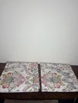 Pottery Barn Ivana Percale - Set Of 2 Euro Shams. Fixed Price $79.00.