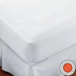 Sleep Safe Premium King Mattress Protector White. Fixed Price $13.99.