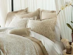 Peacock Alley Francesca Euro Sham. Fixed Price $75.00.