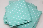 Pottery Barn Teen Full Bed Sheet Set Mint And White Polka Dot 100% Cotton Chic. Fixed Price $62.99.