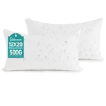 Keep Outdoor Pillows Fresh And Dry - 12X20 Waterproof Inserts Pack. Fixed Price $51.99.