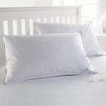 Sweet Home Collection Usa Finished Standard Down & Feather Bed Pillows 2 Pack. Fixed Price $50.99.
