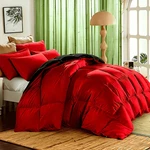 Cooling Comforter Set 2/3PCS Soft Breathable All Season Twin Queen King. Fixed Price $71.15.