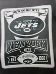 Northwest Nfl Printed Fleece Throw 50 Inch X 60 And Tote Bag New York Jets. Fixed Price $19.99.
