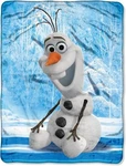 Disney's Frozen, "chills And Thrills" Micro Raschel Throw Blanket, 46" X 60". Fixed Price $17.48.